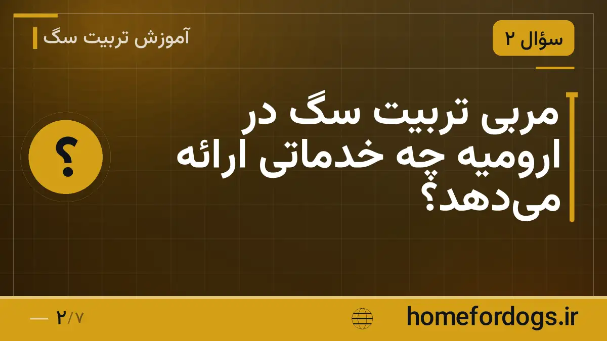 مربی تربیت سگ در ارومیه چه خدماتی ارائه میدهد؟