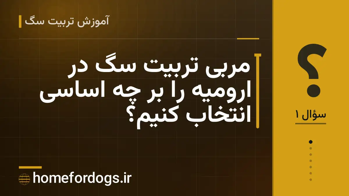 مربی تربیت سگ در ارومیه را بر چه اساسی انتخاب کنیم؟