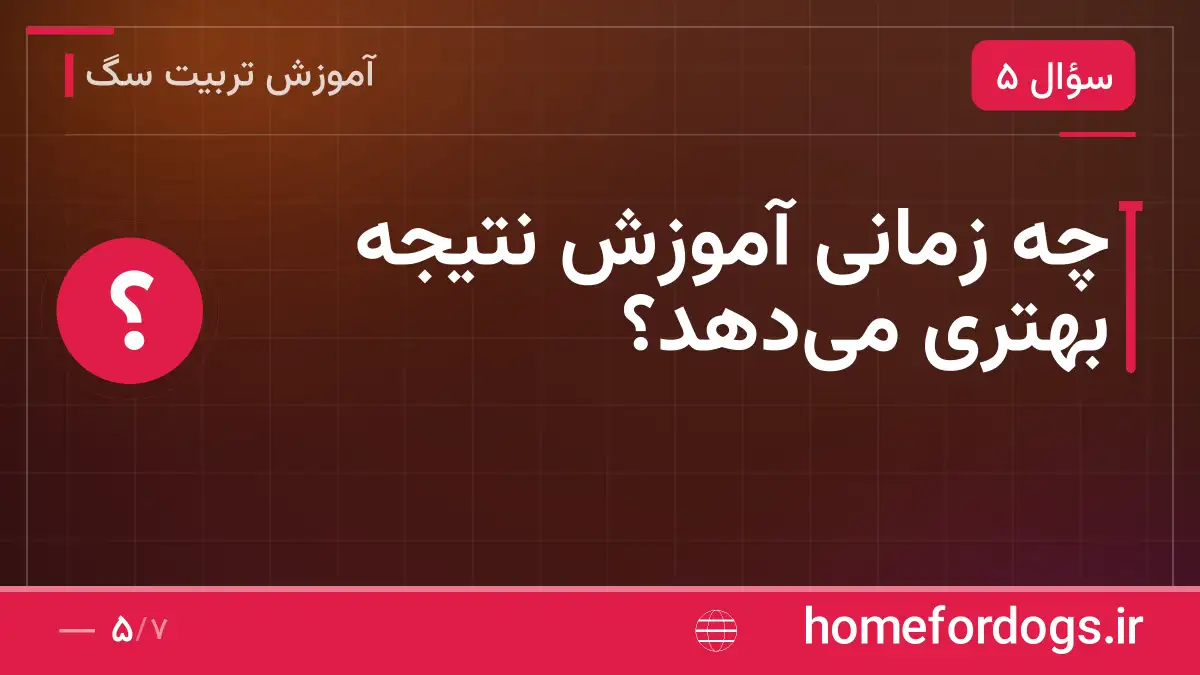 چه زمانی آموزش نتیجه بهتری می‌دهد؟