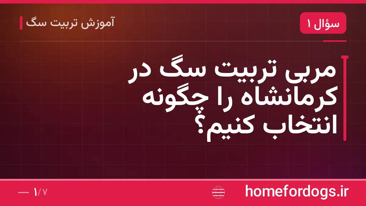 مربی تربیت سگ در کرمانشاه را چگونه انتخاب کنیم؟