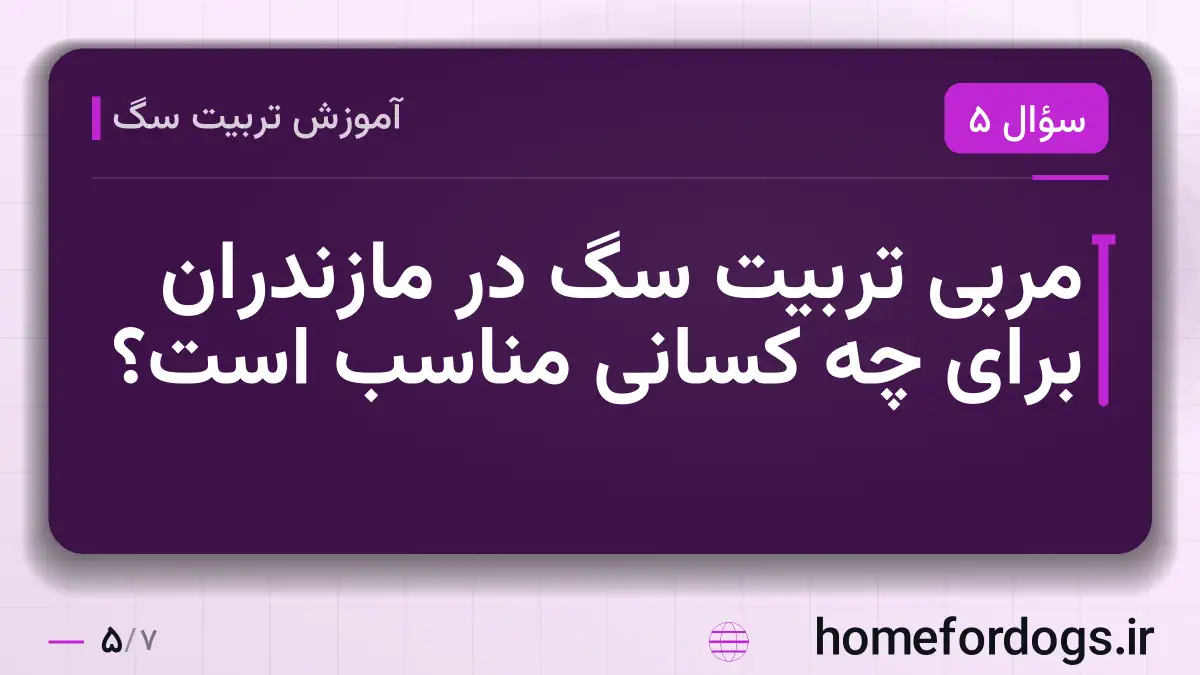 مربی تربیت سگ در مازندران برای چه کسانی مناسب است؟