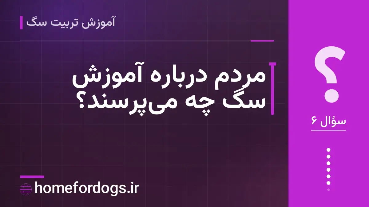 مردم درباره آموزش سگ چه می‌پرسند؟