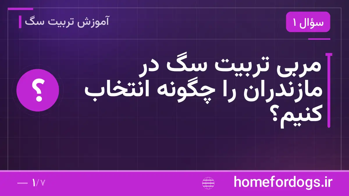 مربی تربیت سگ در مازندران را چگونه انتخاب کنیم؟