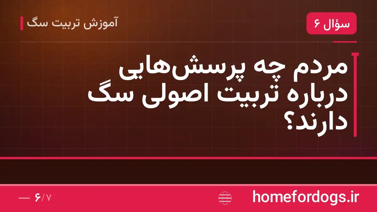 مردم چه پرسشهایی درباره تربیت اصولی سگ دارند؟