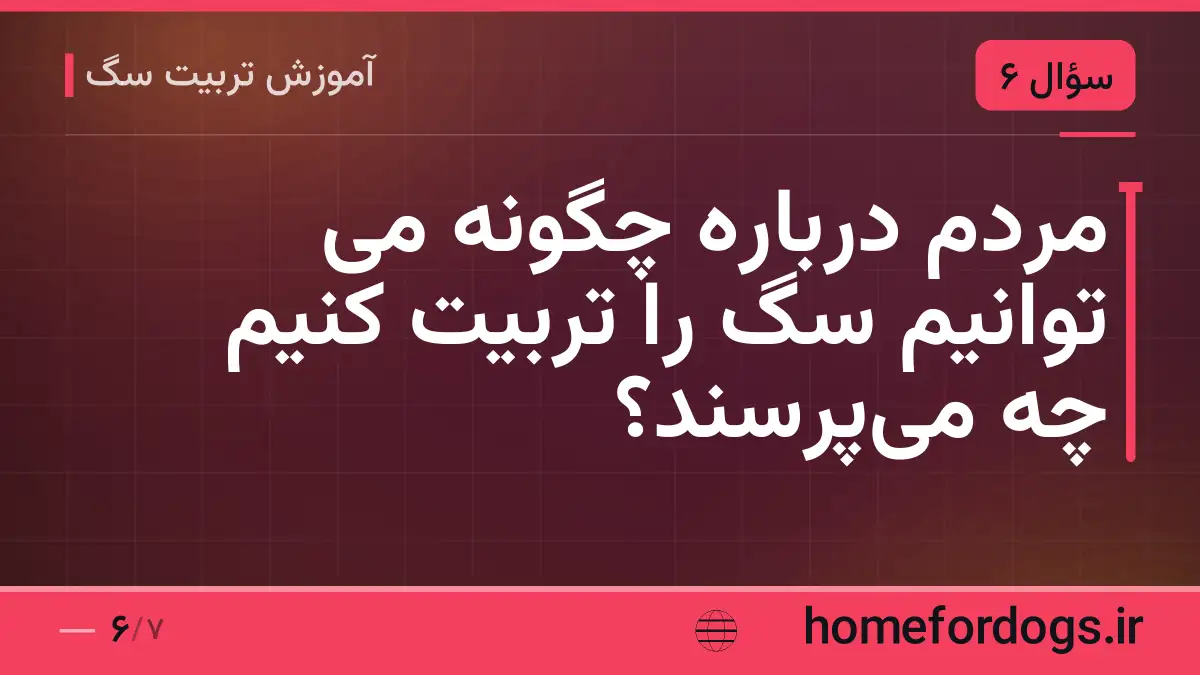 مردم درباره چگونه می توانیم سگ را تربیت کنیم چه می‌پرسند؟