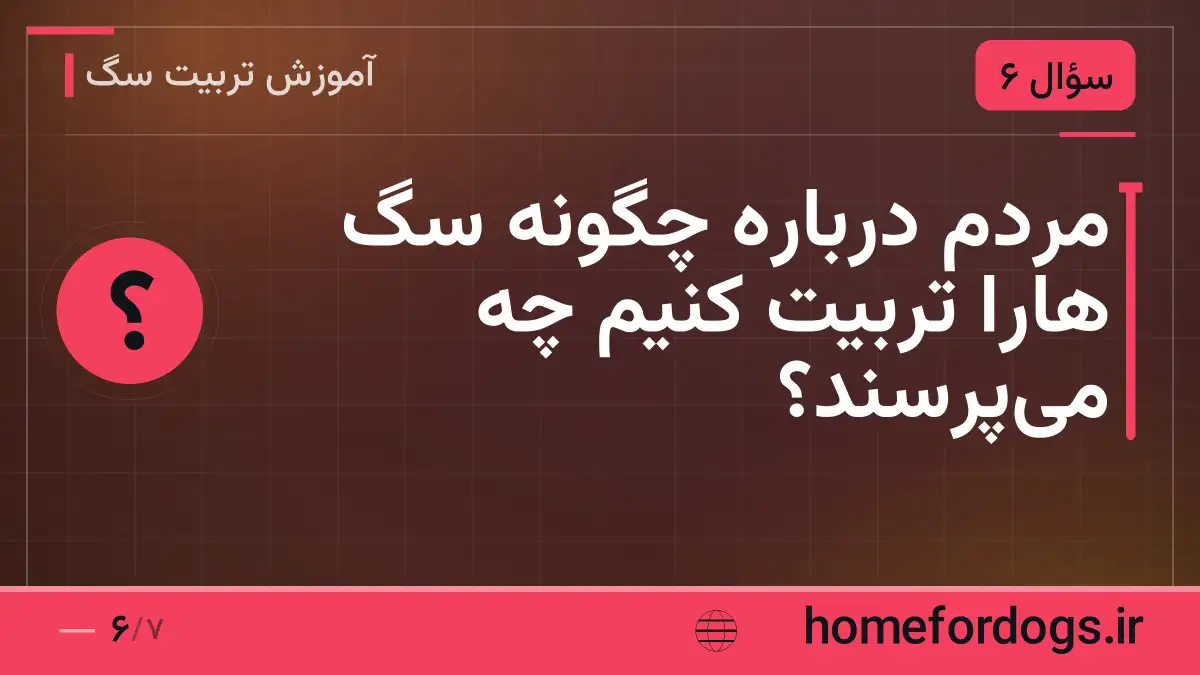 مردم درباره چگونه سگ هارا تربیت کنیم چه میپرسند؟