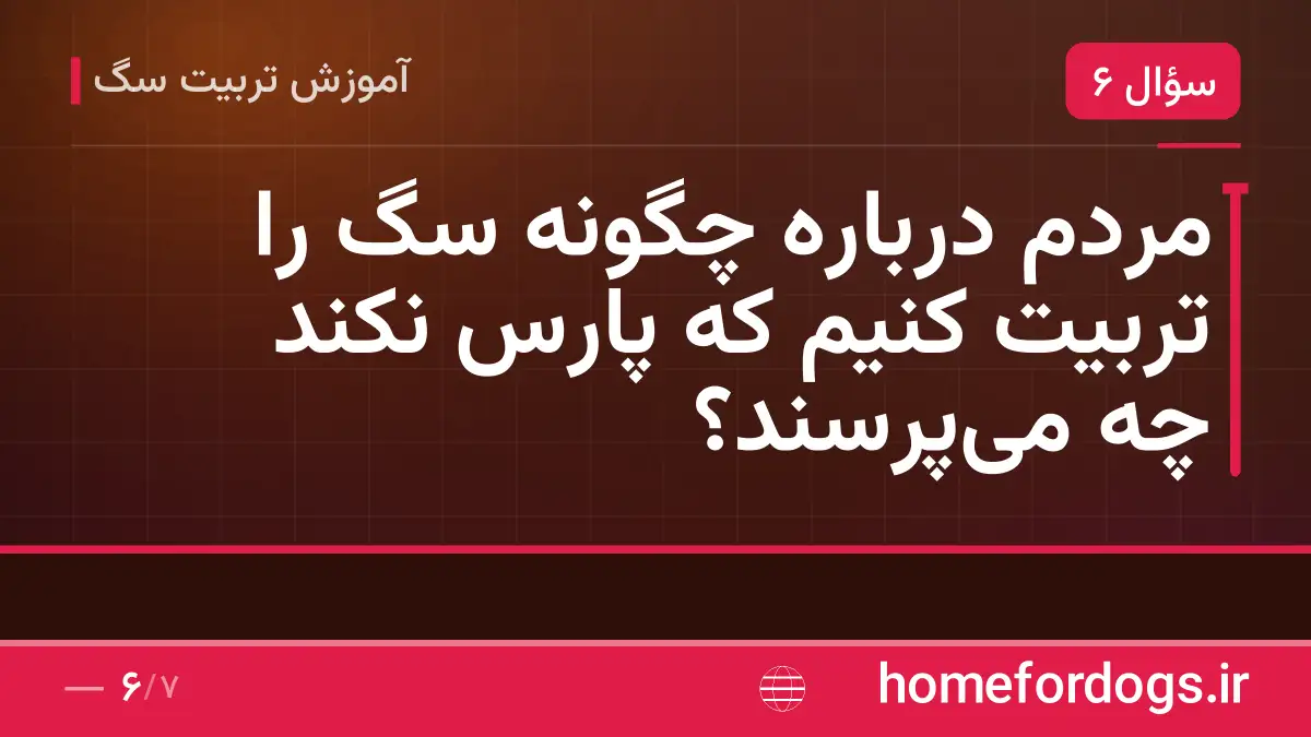 مردم درباره چگونه سگ را تربیت کنیم که پارس نکند چه میپرسند؟