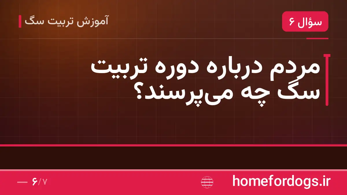 مردم درباره دوره تربیت سگ چه می‌پرسند؟