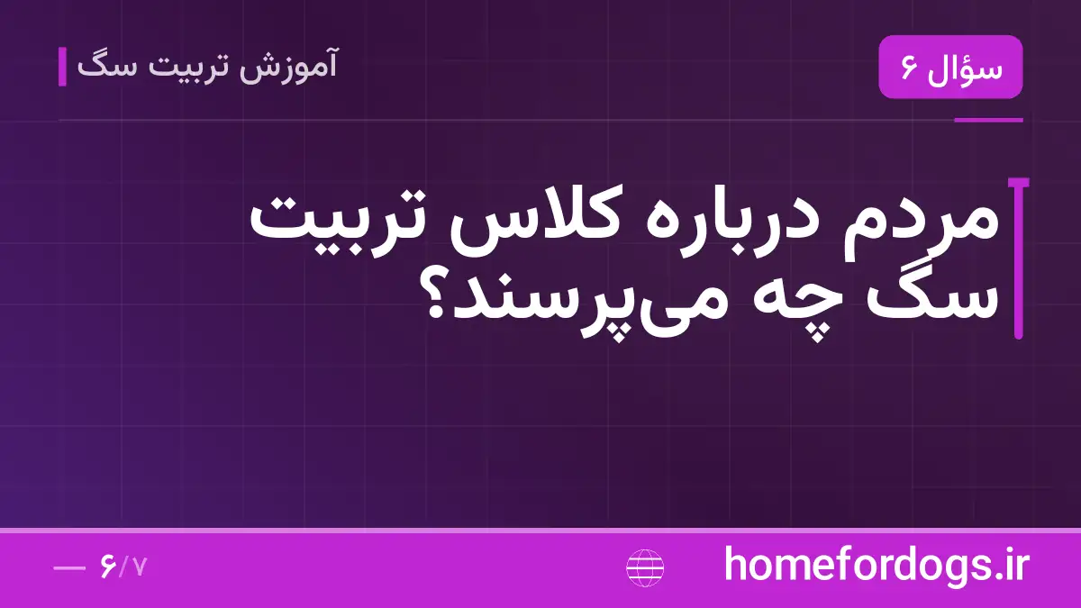 مردم درباره کلاس تربیت سگ چه می‌پرسند؟