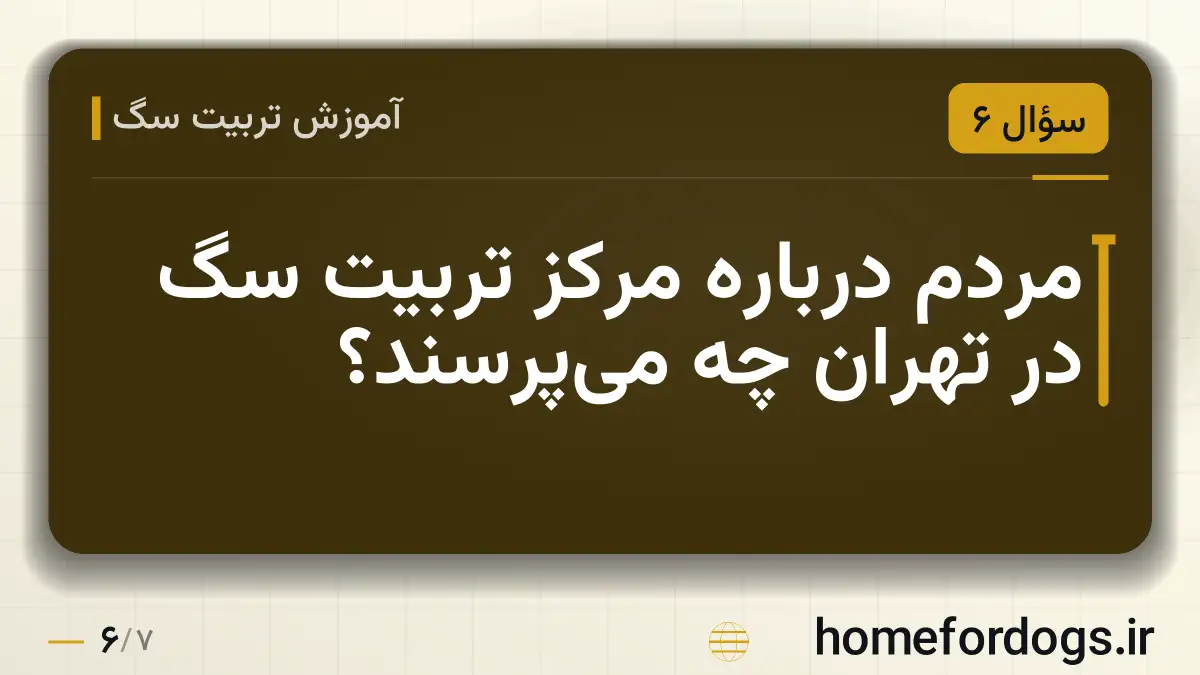 مردم درباره مرکز تربیت سگ در تهران چه میپرسند؟