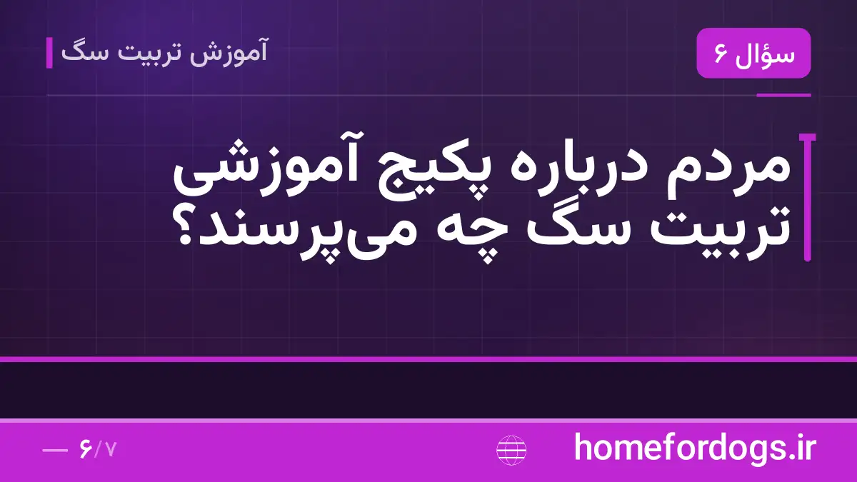 مردم درباره پکیج آموزشی تربیت سگ چه میپرسند؟