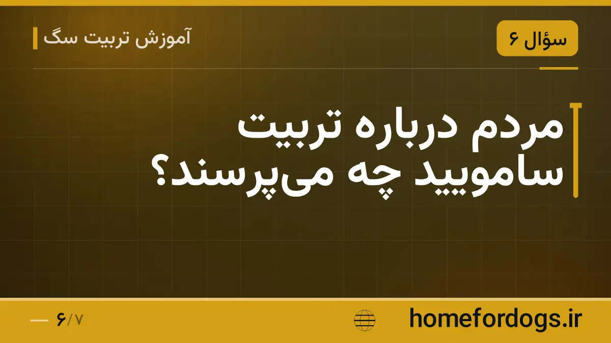 مردم درباره تربیت سامویید چه می‌پرسند؟