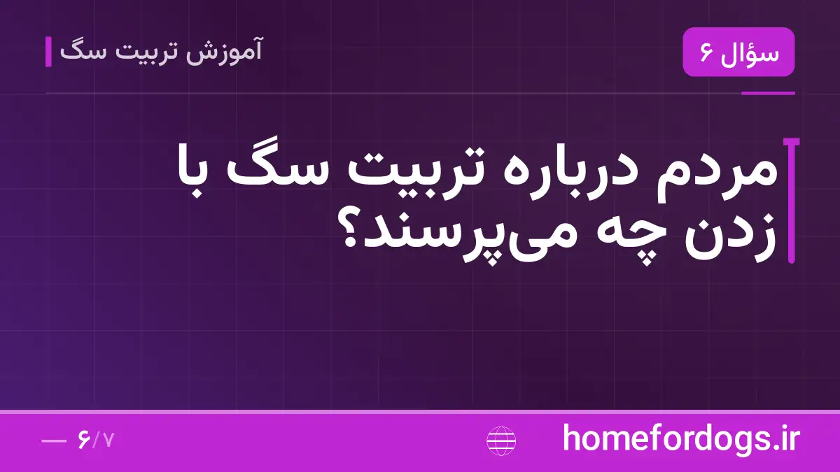 مردم درباره تربیت سگ با زدن چه می‌پرسند؟