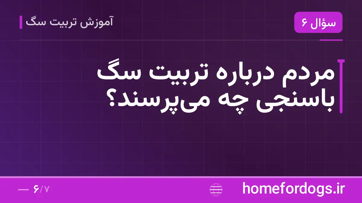 مردم درباره تربیت سگ باسنجی چه می‌پرسند؟