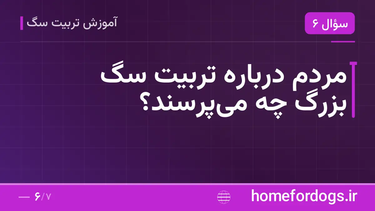 مردم درباره تربیت سگ بزرگ چه می‌پرسند؟