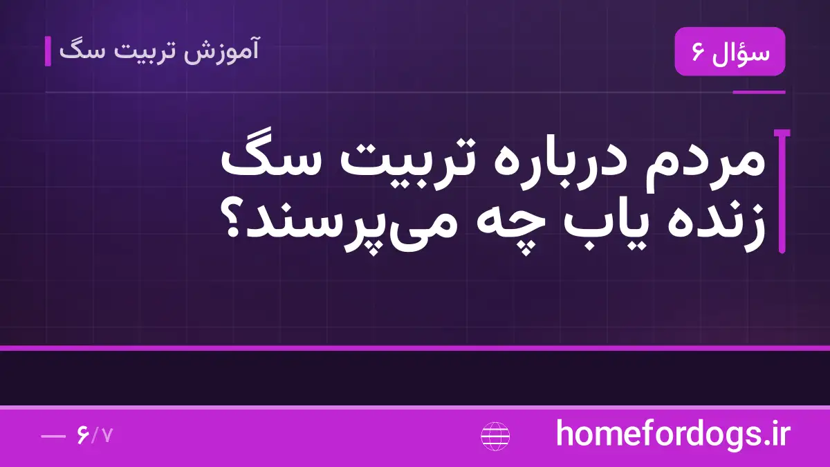 مردم درباره تربیت سگ زنده یاب چه می‌پرسند؟