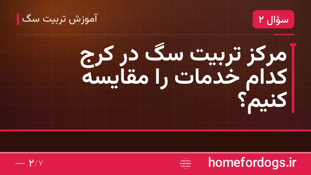 مرکز تربیت سگ در کرج کدام خدمات را مقایسه کنیم؟