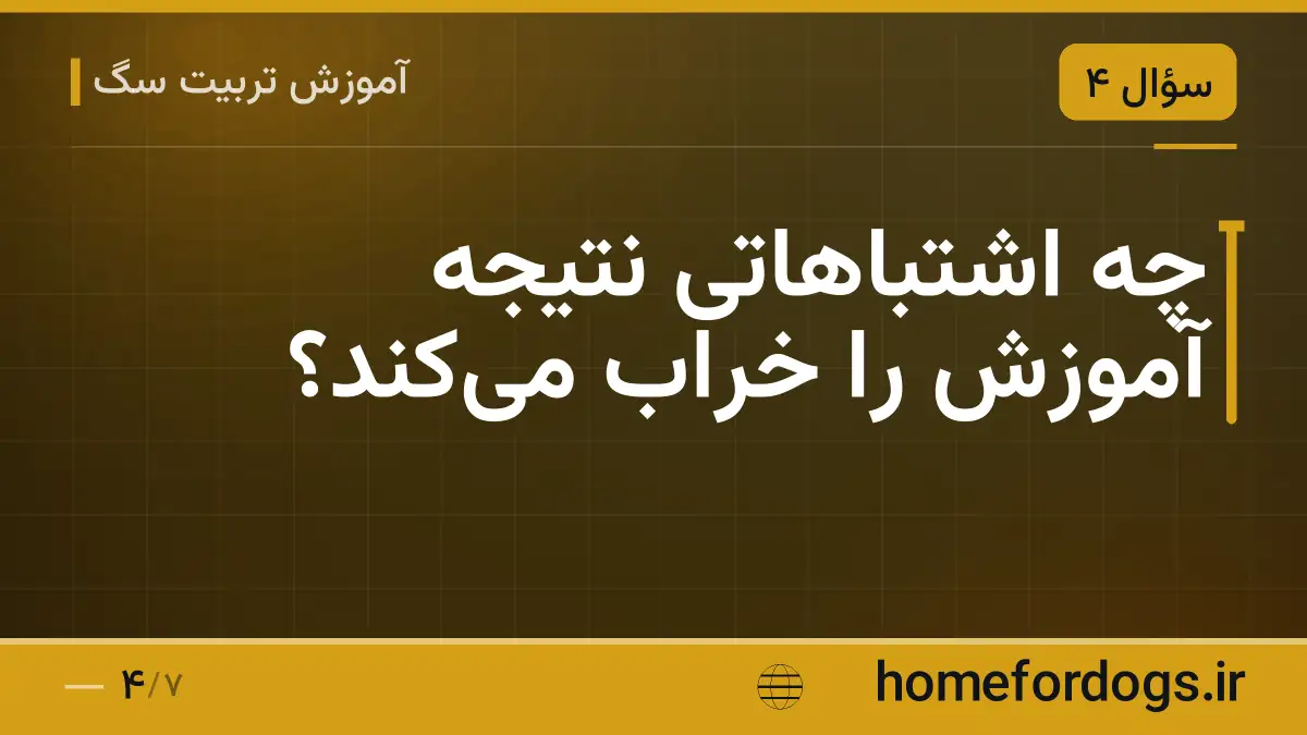 چه اشتباهاتی نتیجه آموزش را خراب میکند؟