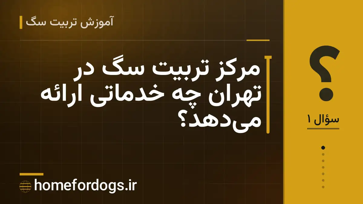 مرکز تربیت سگ در تهران چه خدماتی ارائه میدهد؟