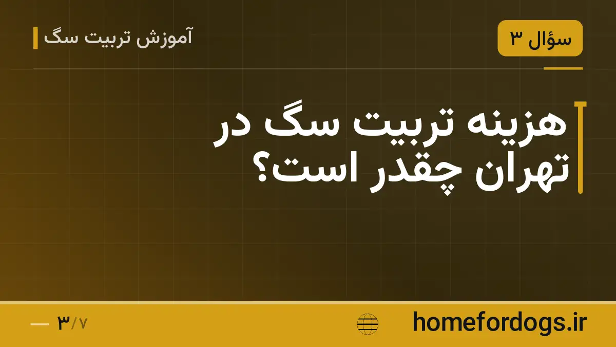 هزینه تربیت سگ در تهران چقدر است؟