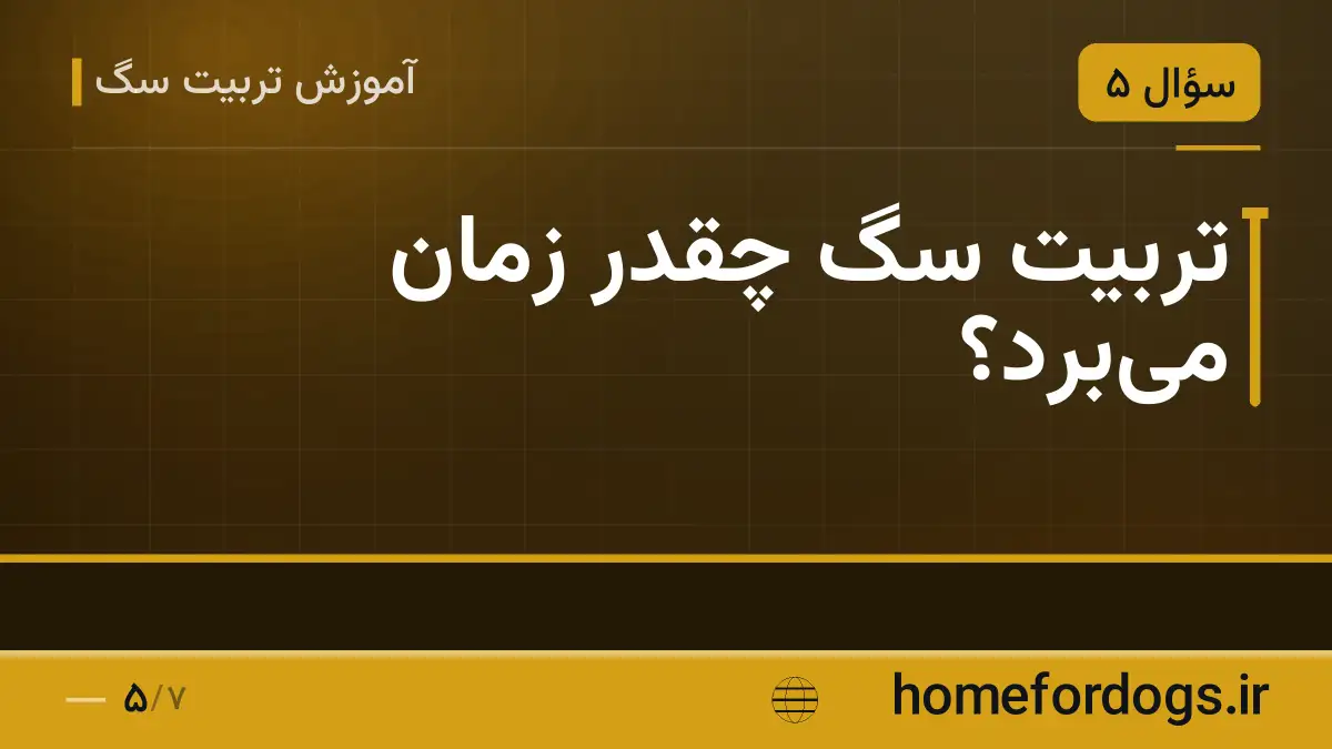 تربیت سگ چقدر زمان میبرد؟