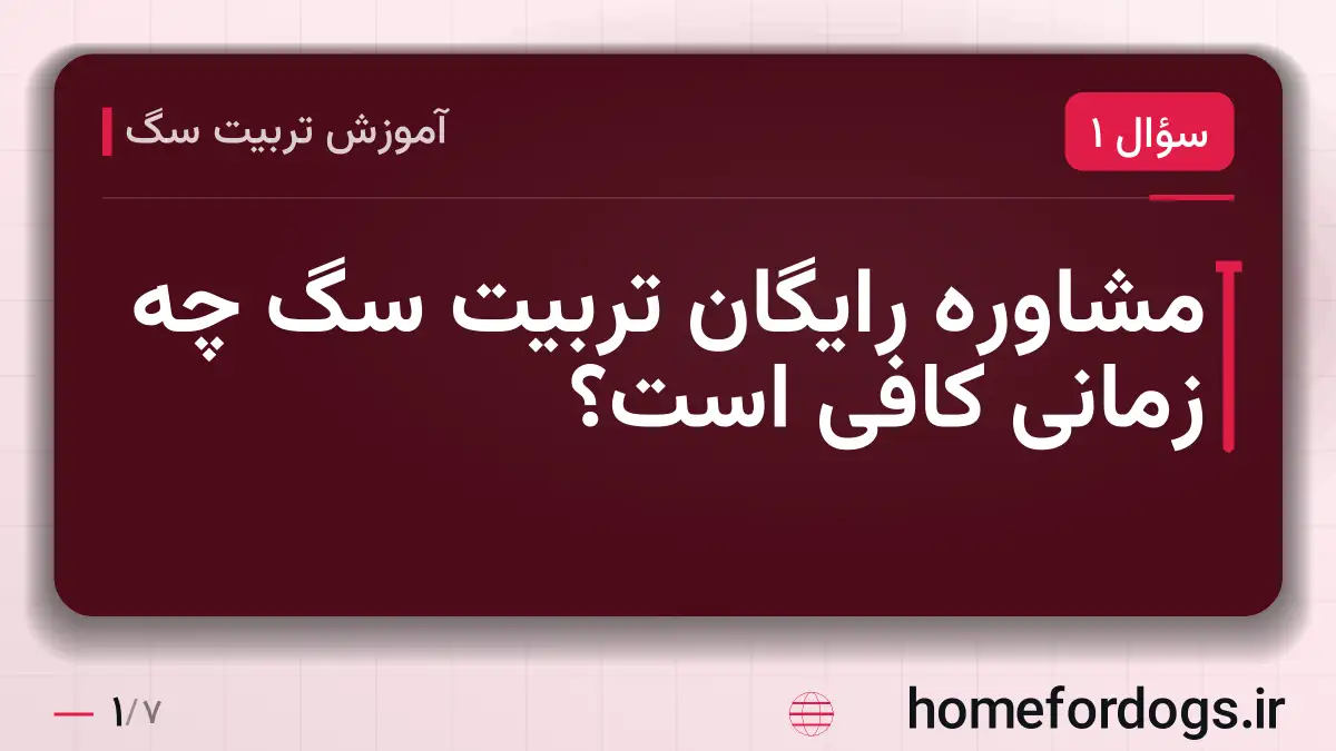 مشاوره رایگان تربیت سگ چه زمانی کافی است؟