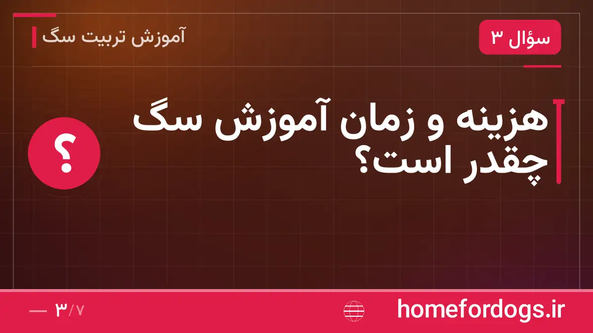 هزینه و زمان آموزش سگ چقدر است؟
