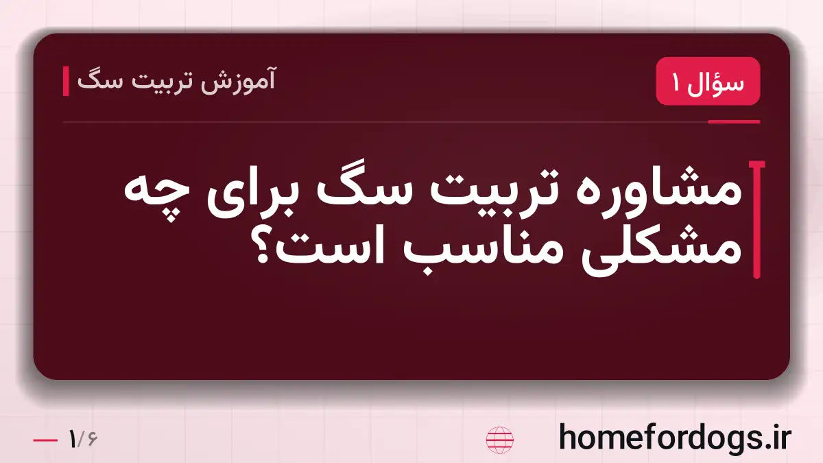 مشاوره تربیت سگ برای چه مشکلی مناسب است؟
