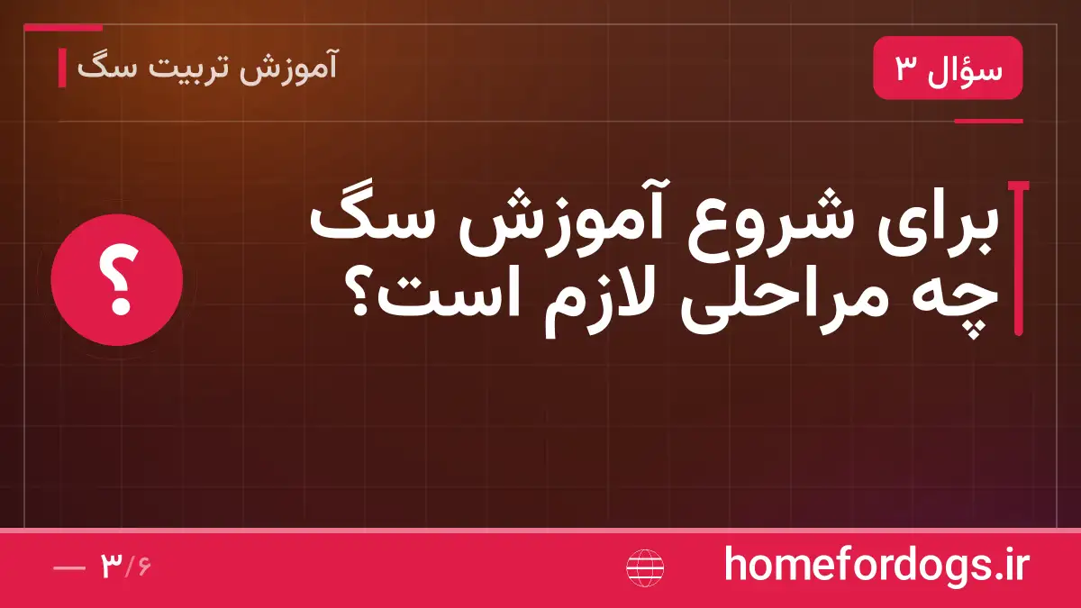 برای شروع آموزش سگ چه مراحلی لازم است؟