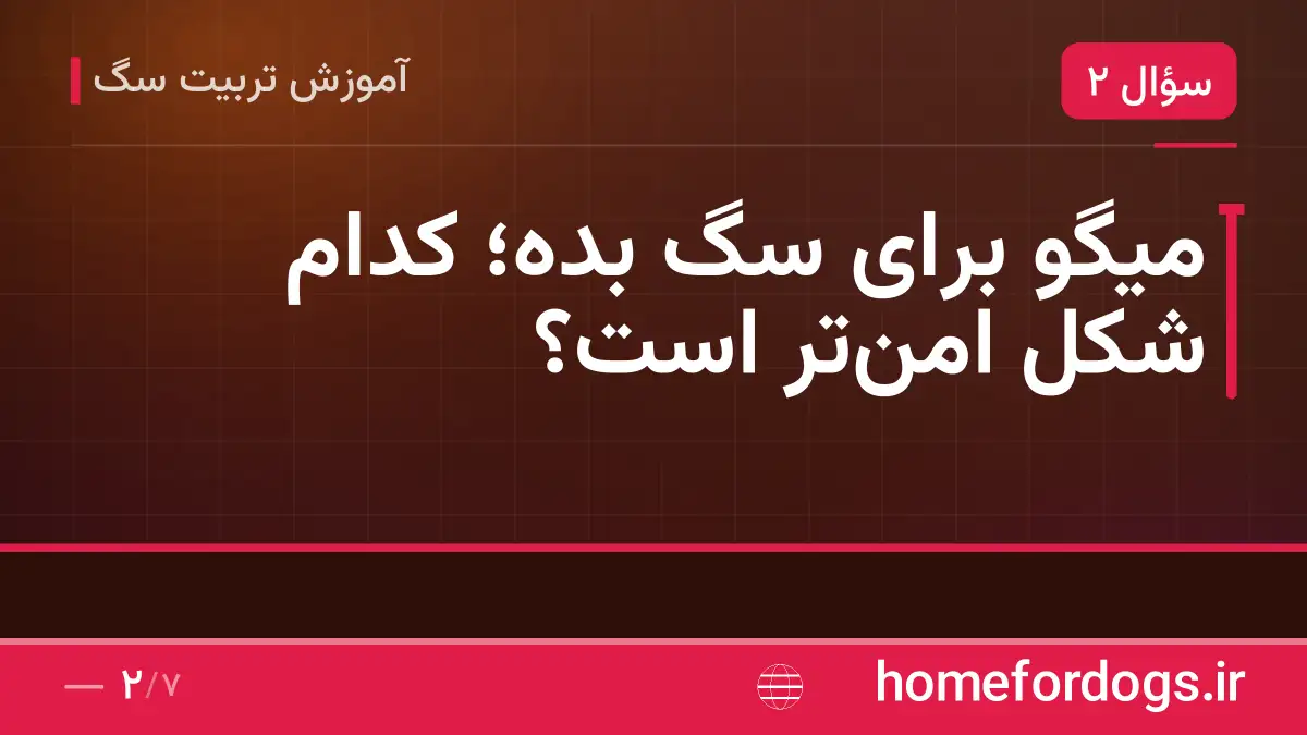 میگو برای سگ بده؛ کدام شکل امن‌تر است؟