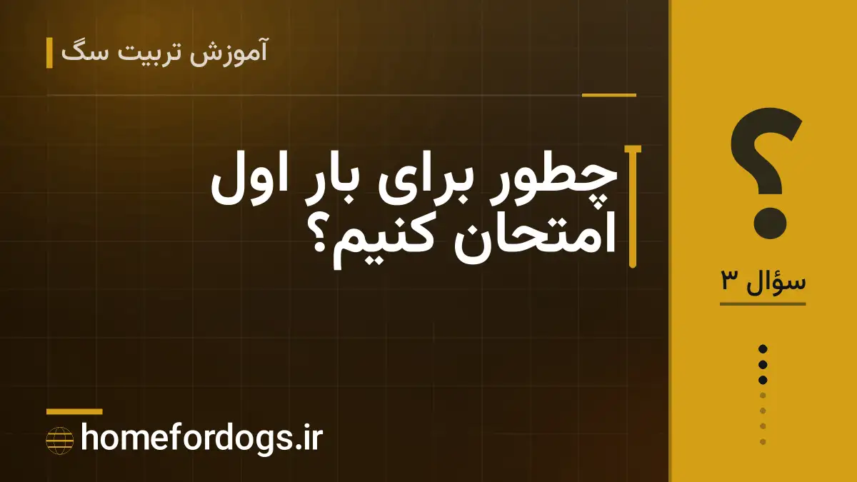چطور برای بار اول امتحان کنیم؟