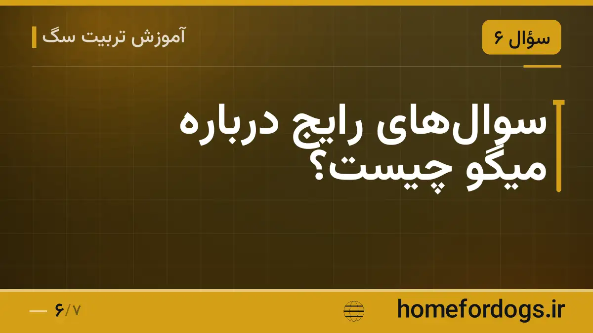 سوال‌های رایج دربارهٔ میگو چیست؟