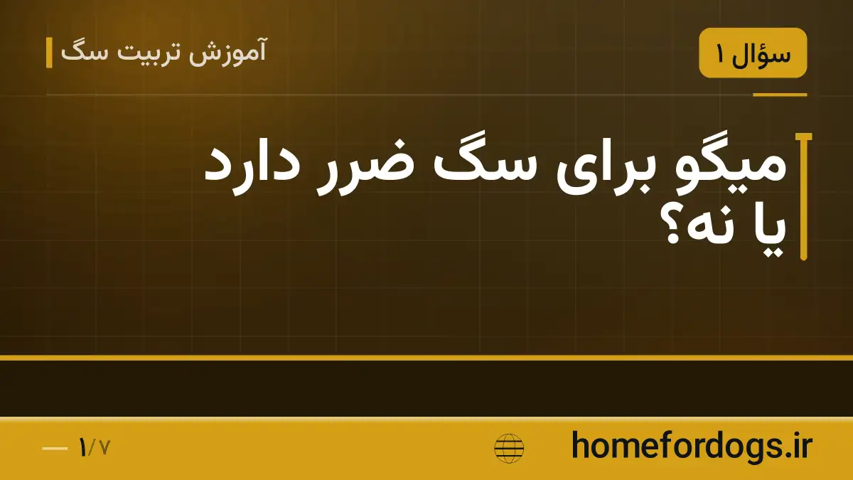 میگو برای سگ ضرر دارد یا نه؟