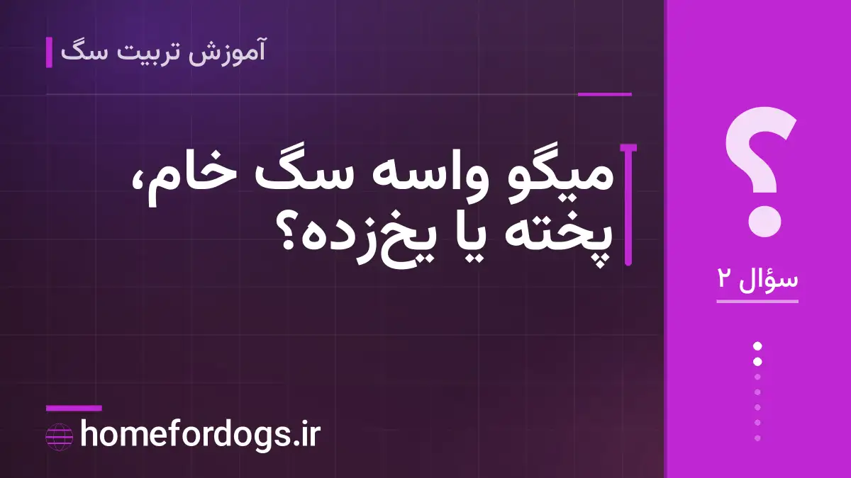 میگو واسه سگ خام، پخته یا یخ‌زده؟
