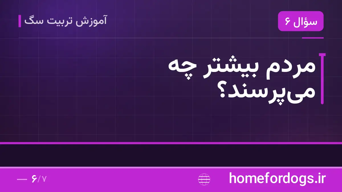 مردم بیشتر چه می‌پرسند؟