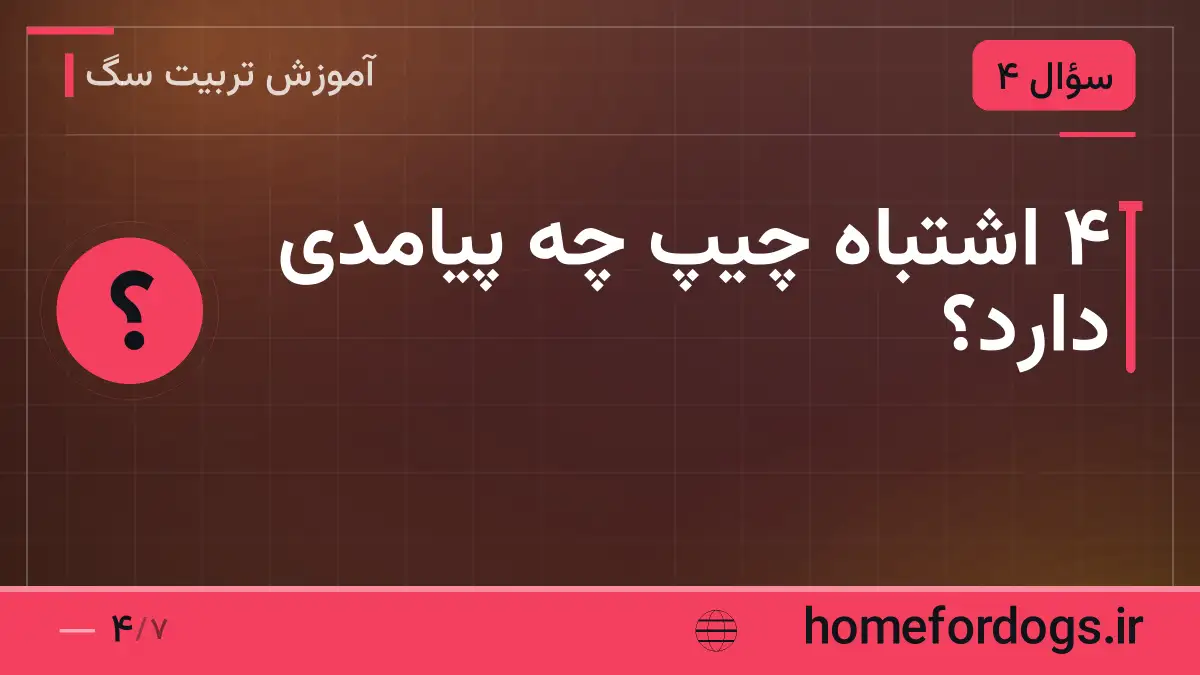 ۴ اشتباه چیپ چه پیامدی دارد؟