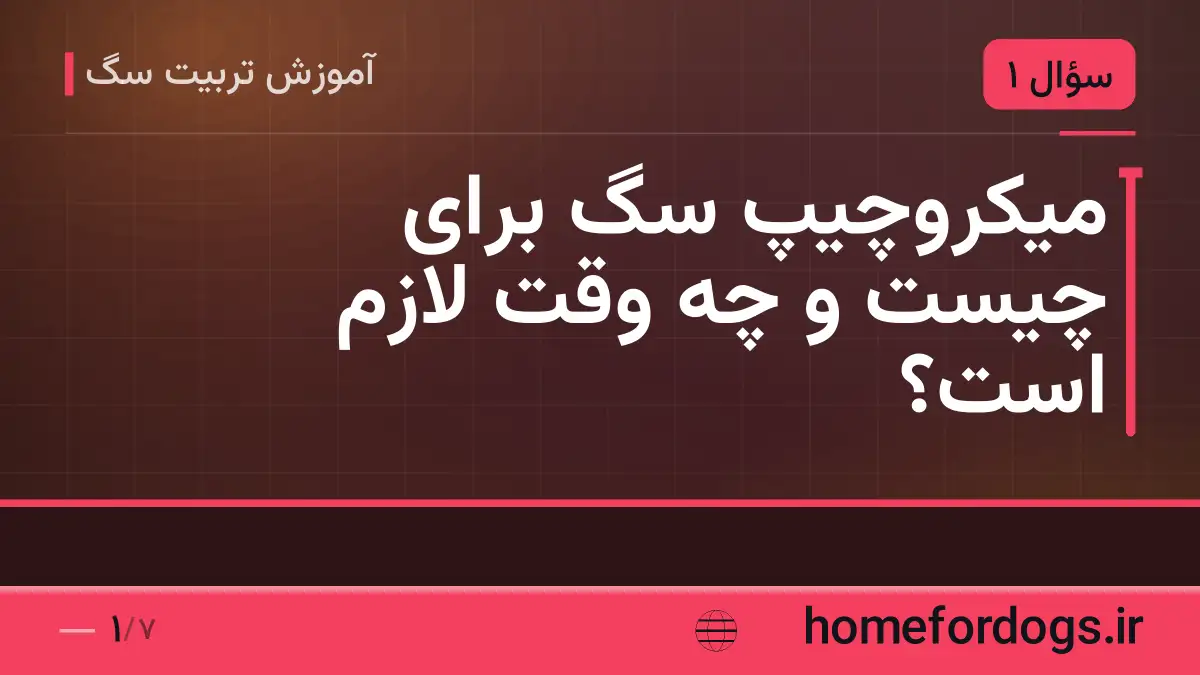 میکروچیپ سگ برای چیست و چه وقت لازم است؟