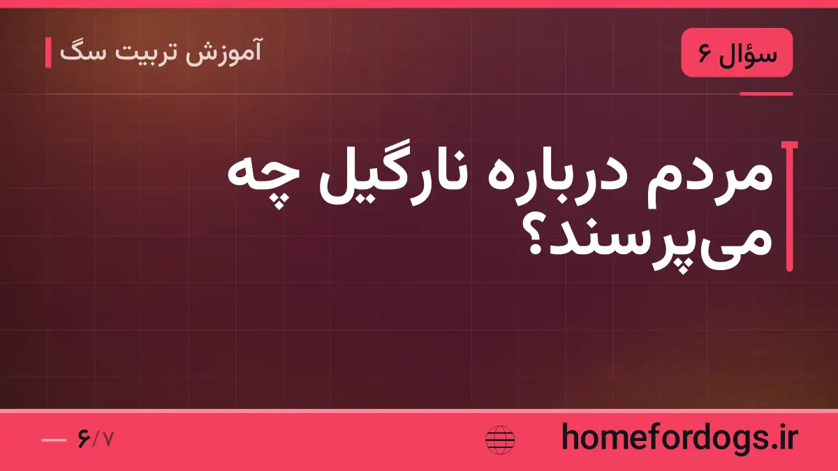 مردم درباره نارگیل چه می‌پرسند؟