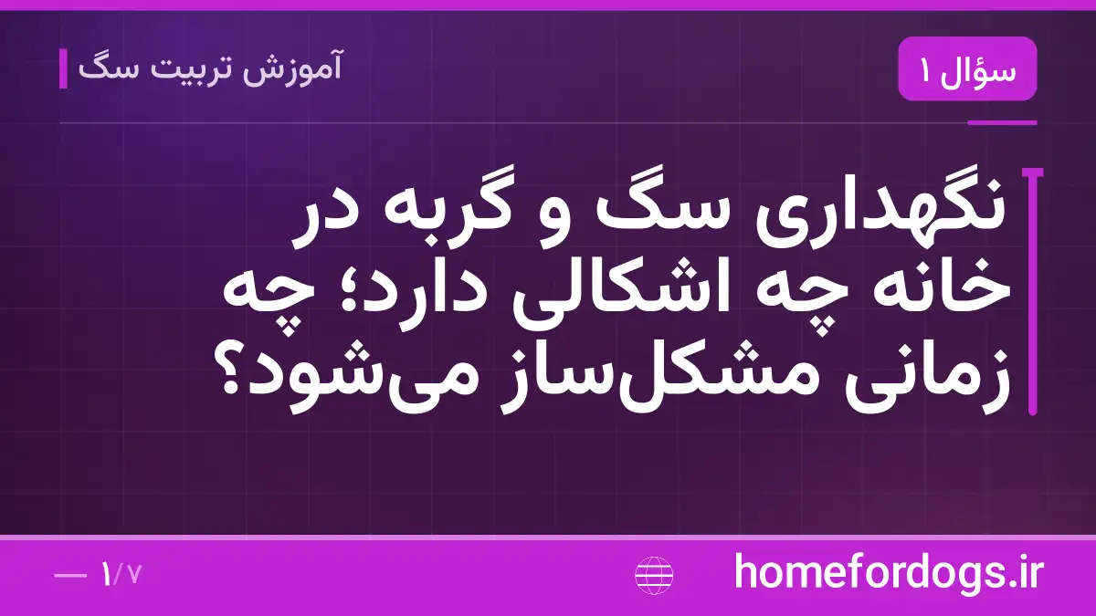 نگهداری سگ و گربه در خانه چه اشکالی دارد؛ چه زمانی مشکل‌ساز می‌شود؟