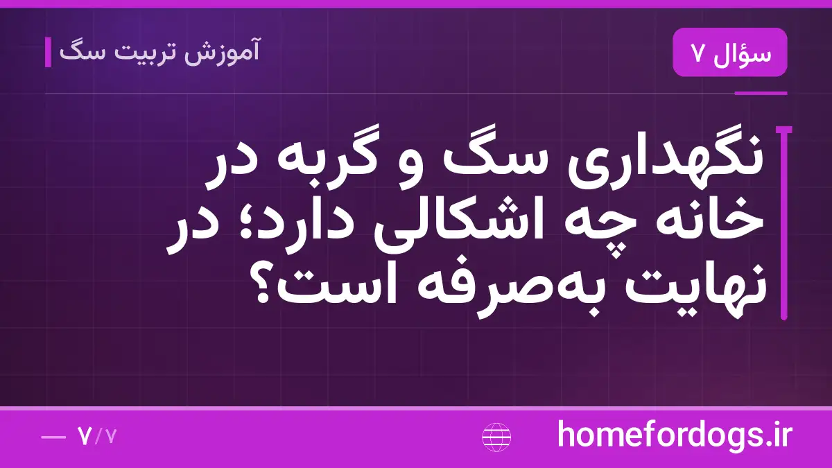 نگهداری سگ و گربه در خانه چه اشکالی دارد؛ در نهایت به‌صرفه است؟