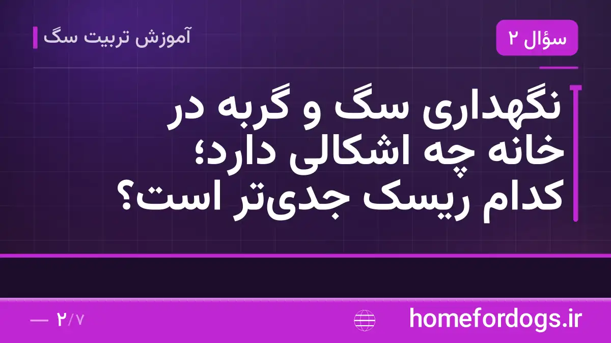 نگهداری سگ و گربه در خانه چه اشکالی دارد؛ کدام ریسک جدی‌تر است؟