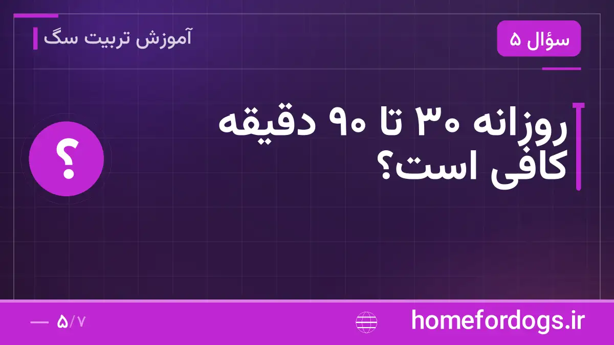 روزانه ۳۰ تا ۹۰ دقیقه کافی است؟