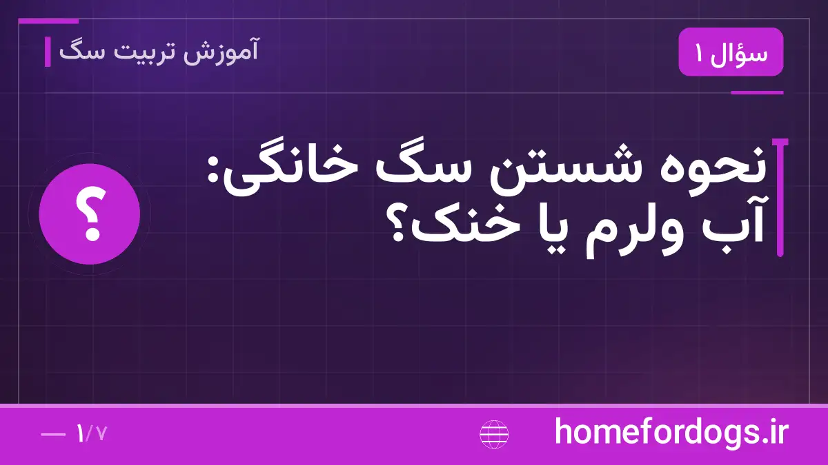 نحوه شستن سگ خانگی: آب ولرم یا خنک؟