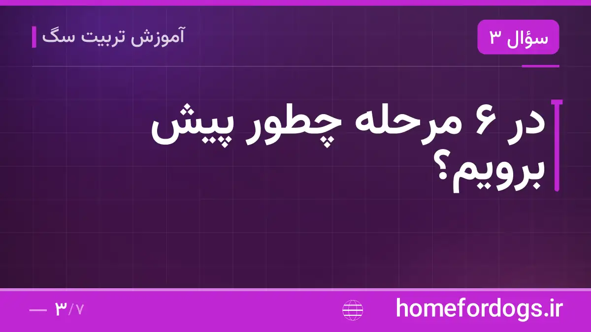 در ۶ مرحله چطور پیش برویم؟