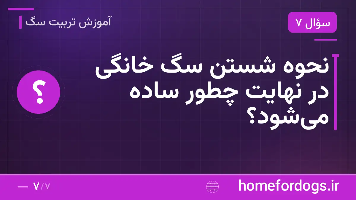 نحوه شستن سگ خانگی در نهایت چطور ساده می‌شود؟
