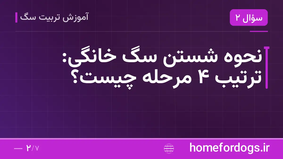 نحوه شستن سگ خانگی: ترتیب ۴ مرحله چیست؟