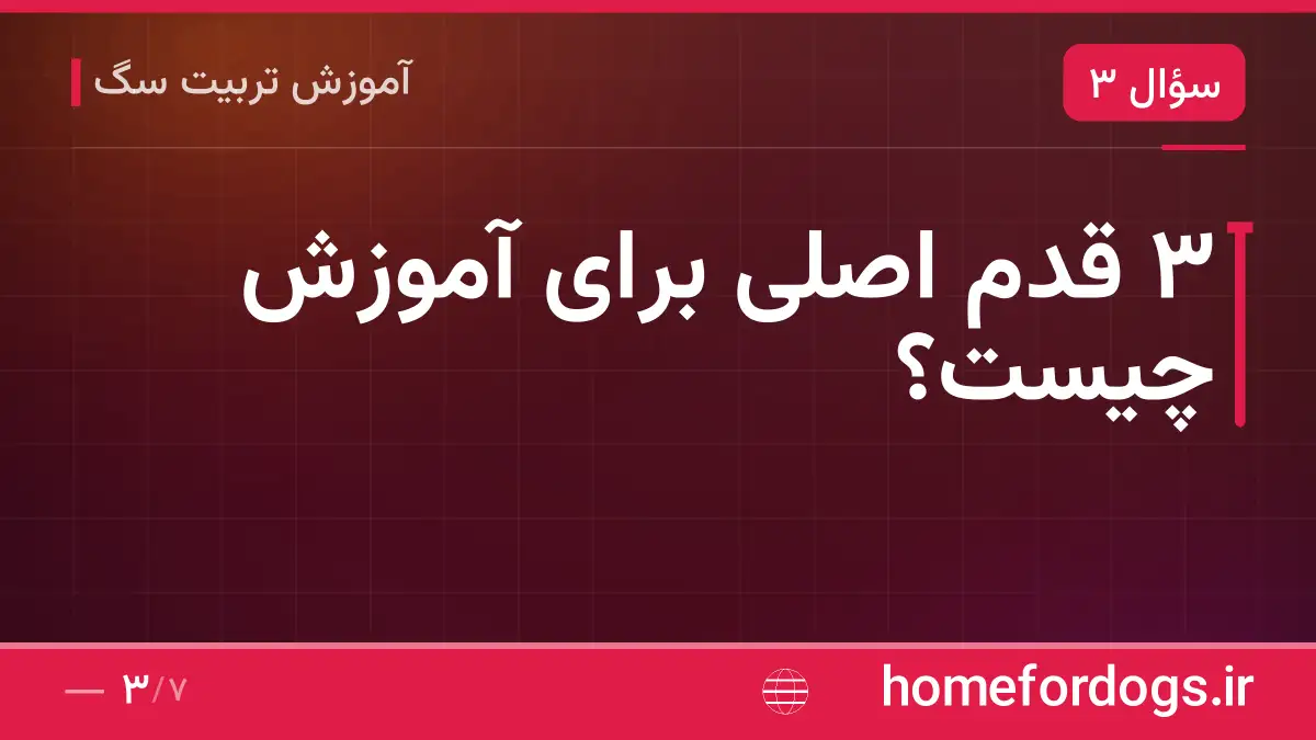 ۳ قدم اصلی برای آموزش چیست؟