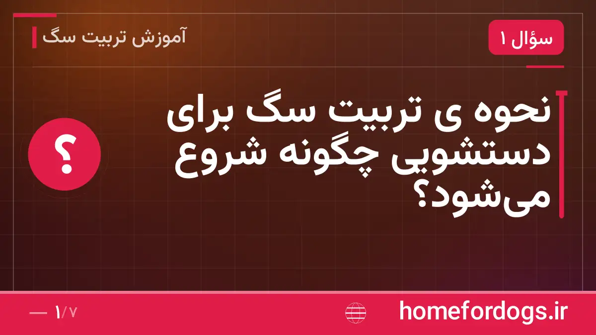نحوه ی تربیت سگ برای دستشویی چگونه شروع می‌شود؟