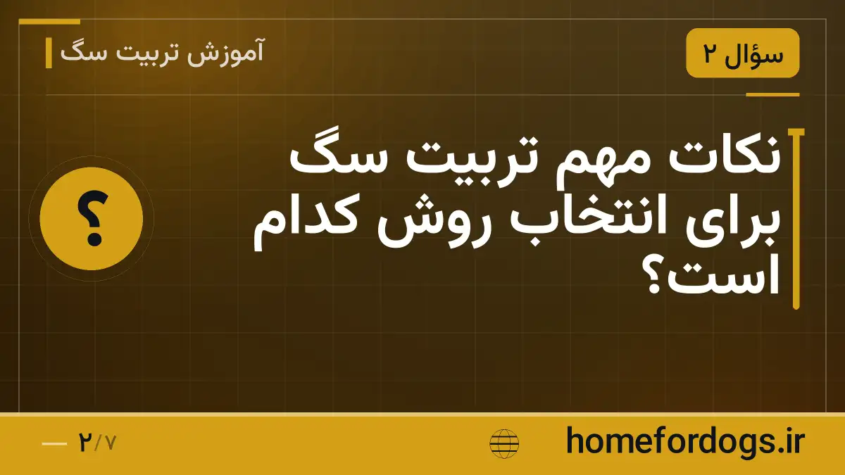 نکات مهم تربیت سگ برای انتخاب روش کدام است؟