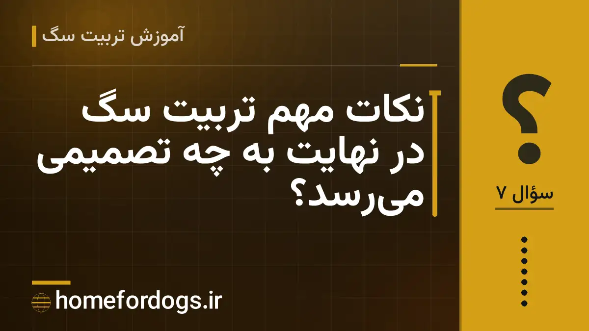 نکات مهم تربیت سگ در نهایت به چه تصمیمی می‌رسد؟